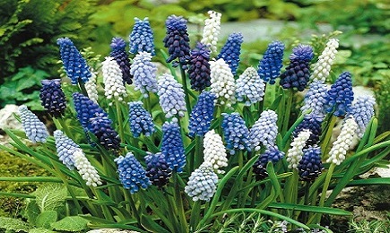 もん・ぱっち tweet media