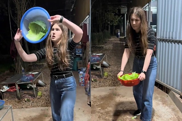 VietNewsGateway's tweet photo. Readers reacted with a mix of ridicule, debate and occasional support after a story about a U.S. family spending about US$3,000 per person to experience rural life in Vietnam circulated on social media.

Details: https://t.co/VCVCyBBfL2 https://t.co/r5ktG6mHF1