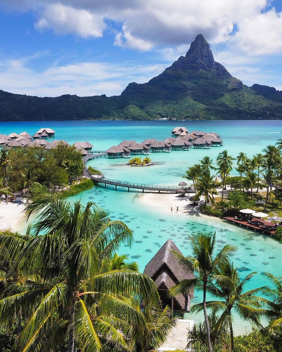 Travel Guide tweet media