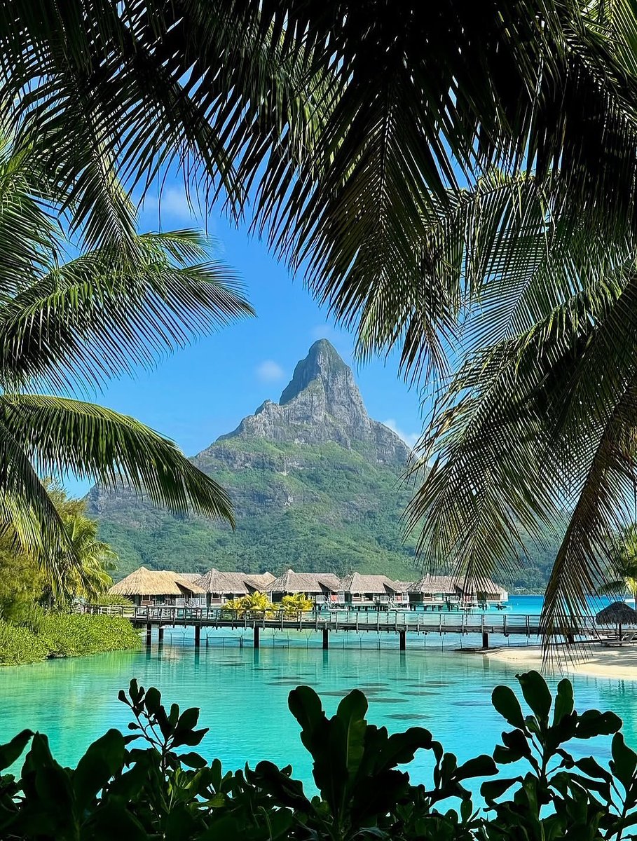 Travel Guide tweet media