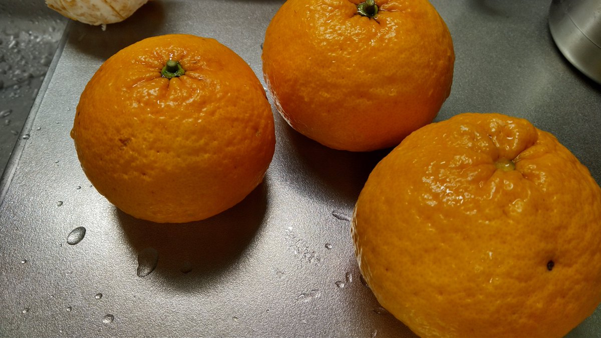 daidu5's tweet photo. できた～🍊 https://t.co/1znJ8aYKkv