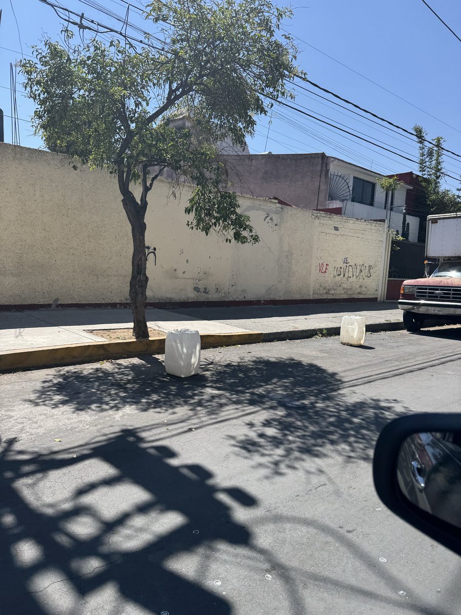 Norma Guzman tweet media