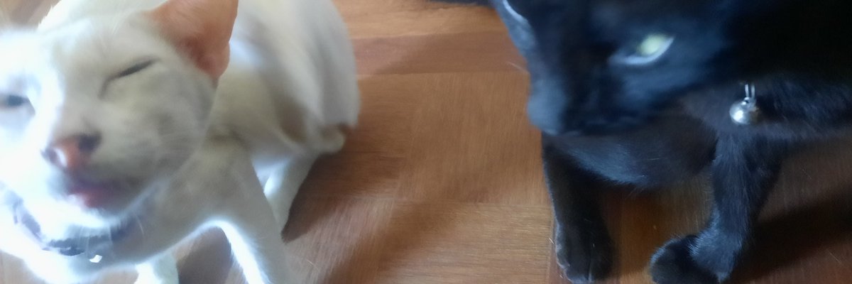 tin_polo14's tweet photo. https://t.co/1srvxZuNcG