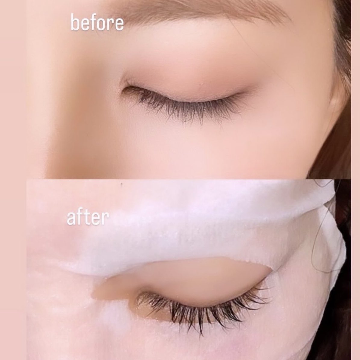 miss lash tweet media