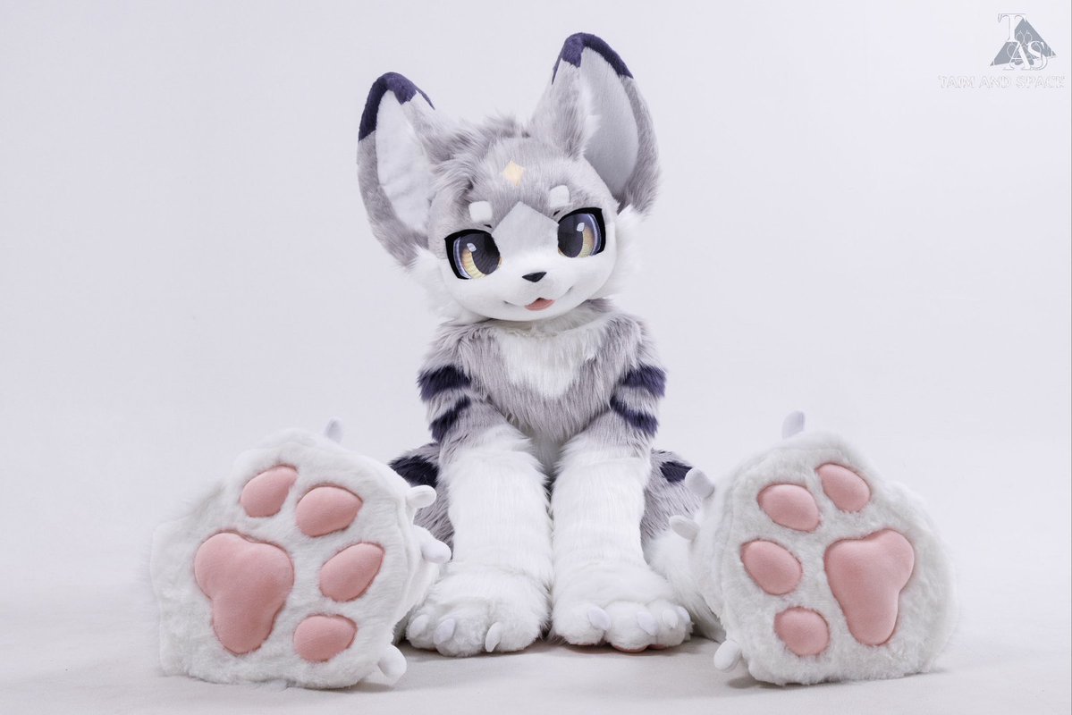 夕白_xibai tweet media