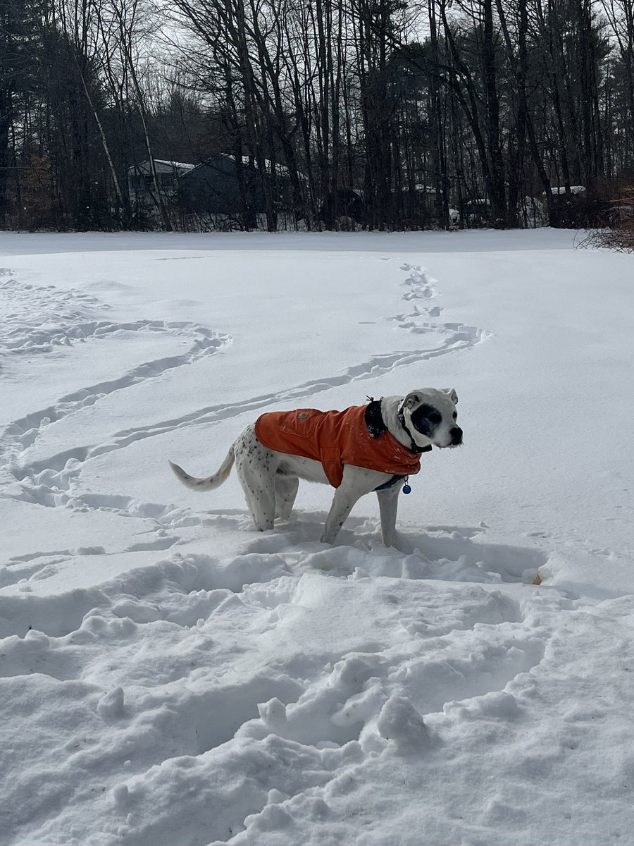 Margaret tweet media