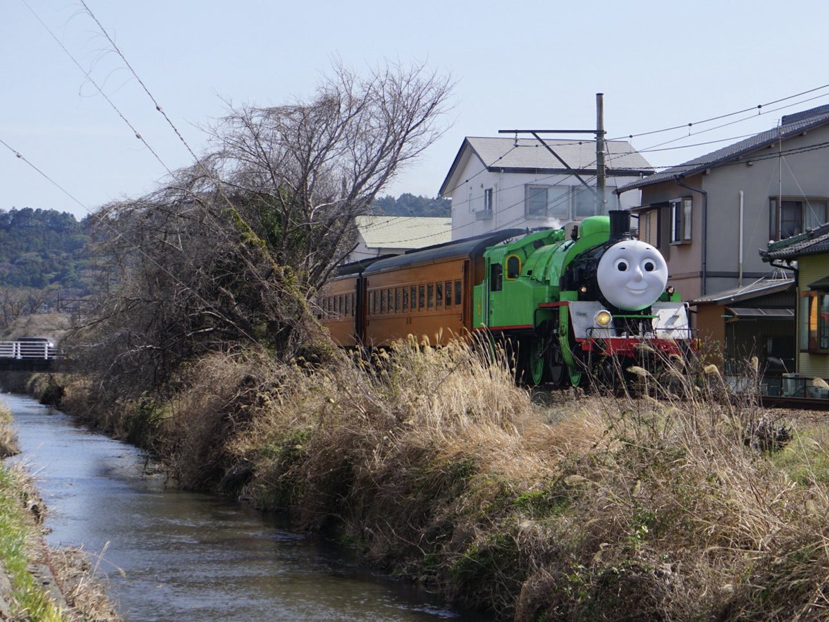 牛🐄 (@tamagoshida0734) / Posts / X