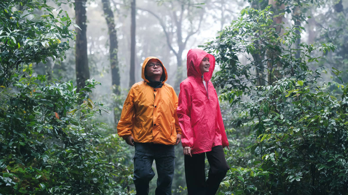 Adam Gebb tweet media