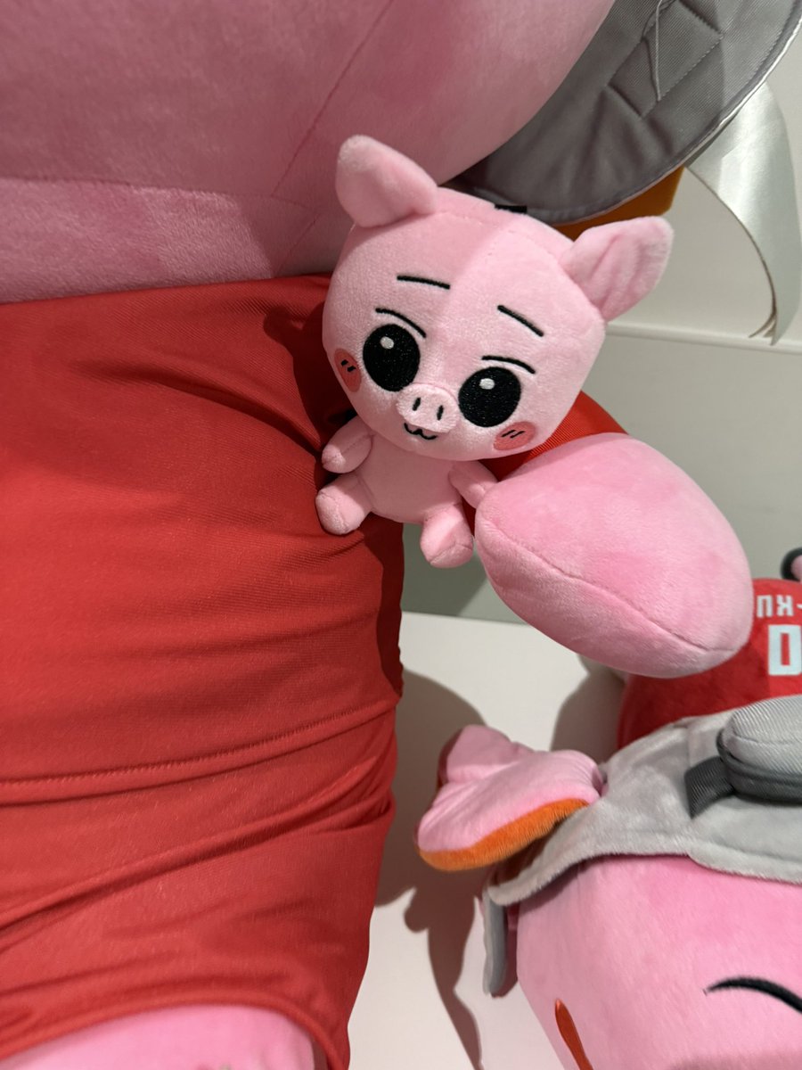 HOKUTOBOO36's tweet photo. こらぁ、、遊ばないよー🐷 https://t.co/JvBDIY0fn7