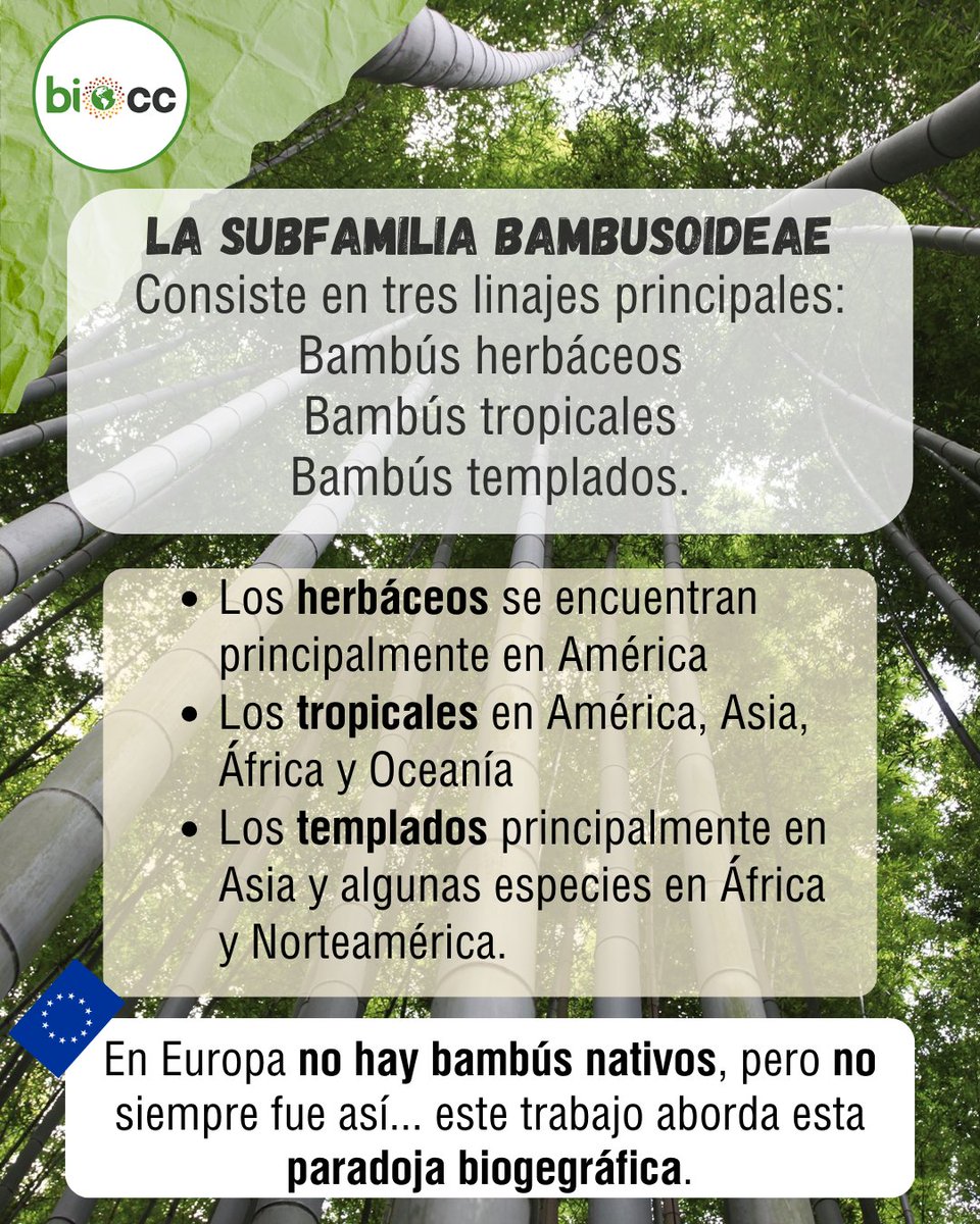 LNCBioCC tweet media