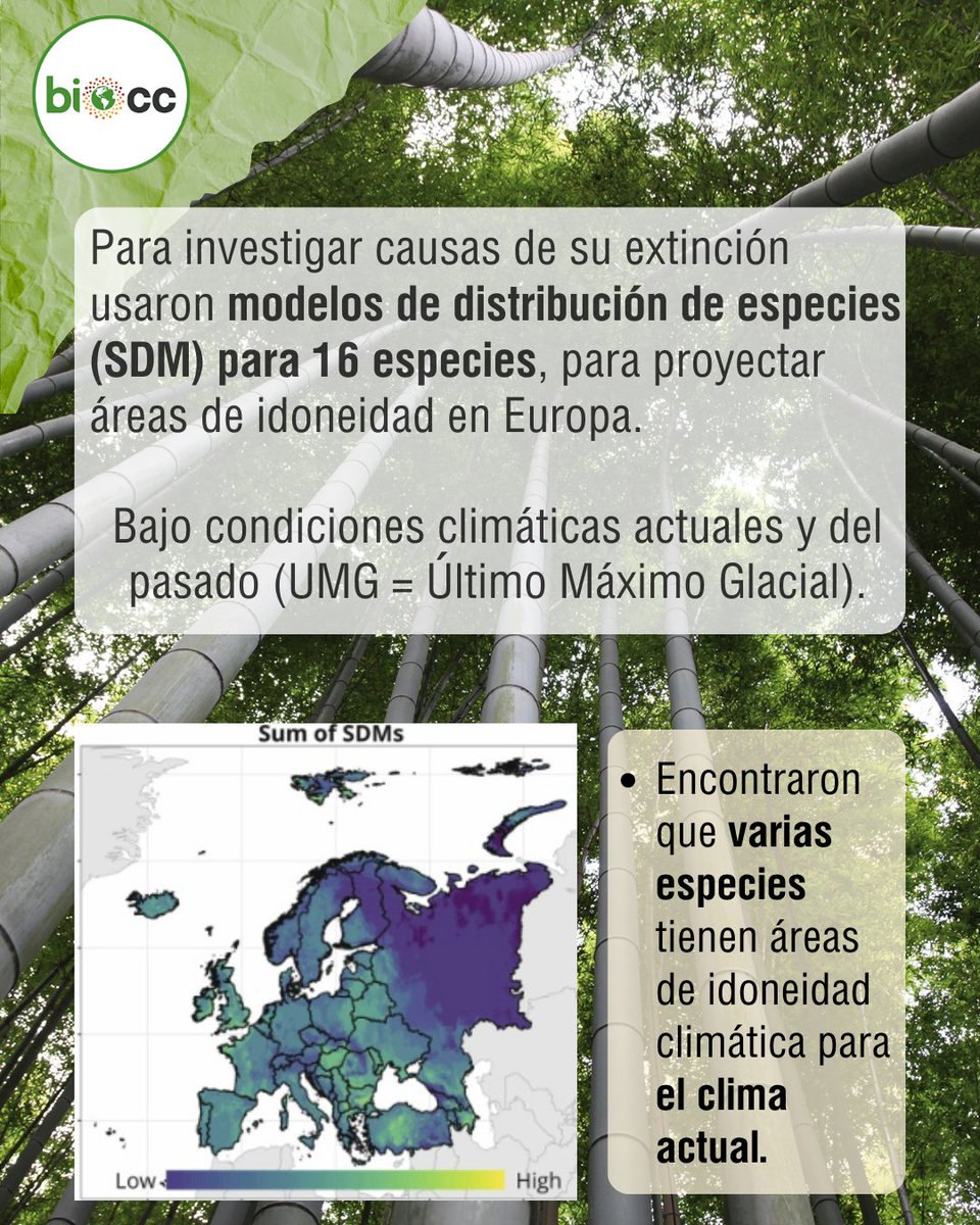 LNCBioCC tweet media