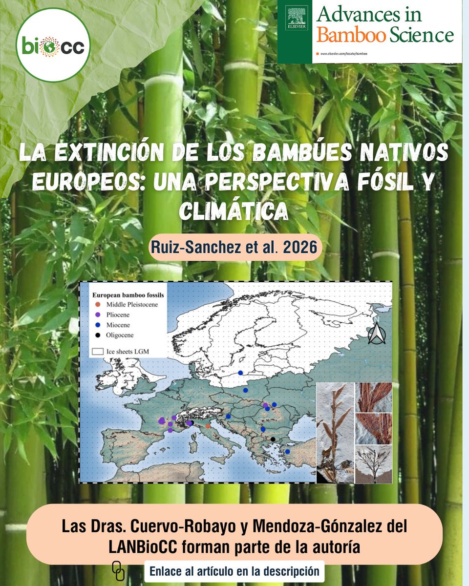 LNCBioCC tweet media