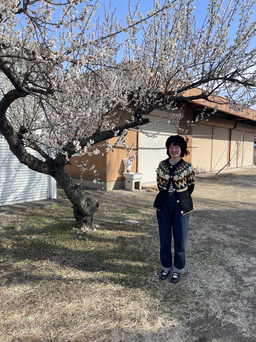 モーレツアタックしげるカントリー tweet media