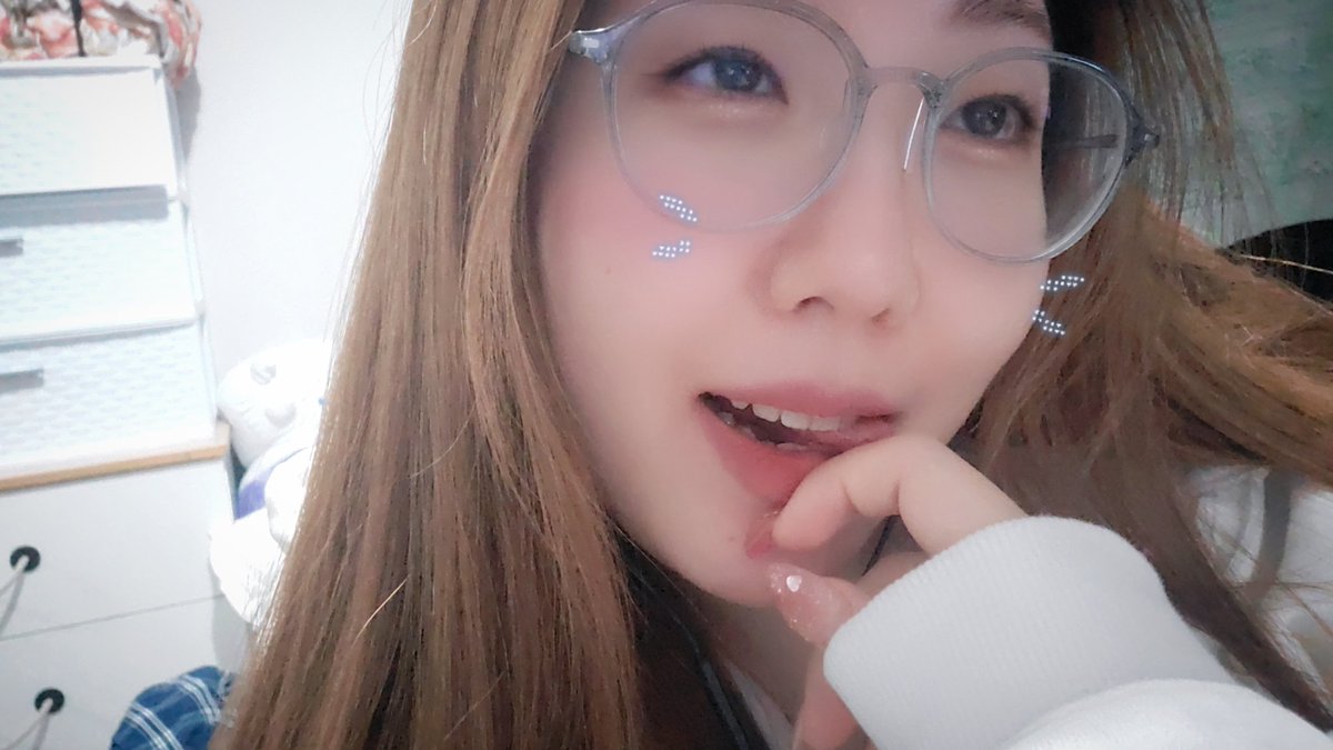 mewwo 🦭 tweet media