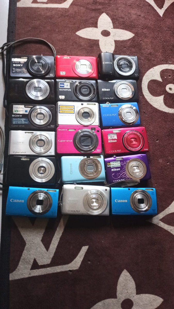 plutoO🦋 tweet media