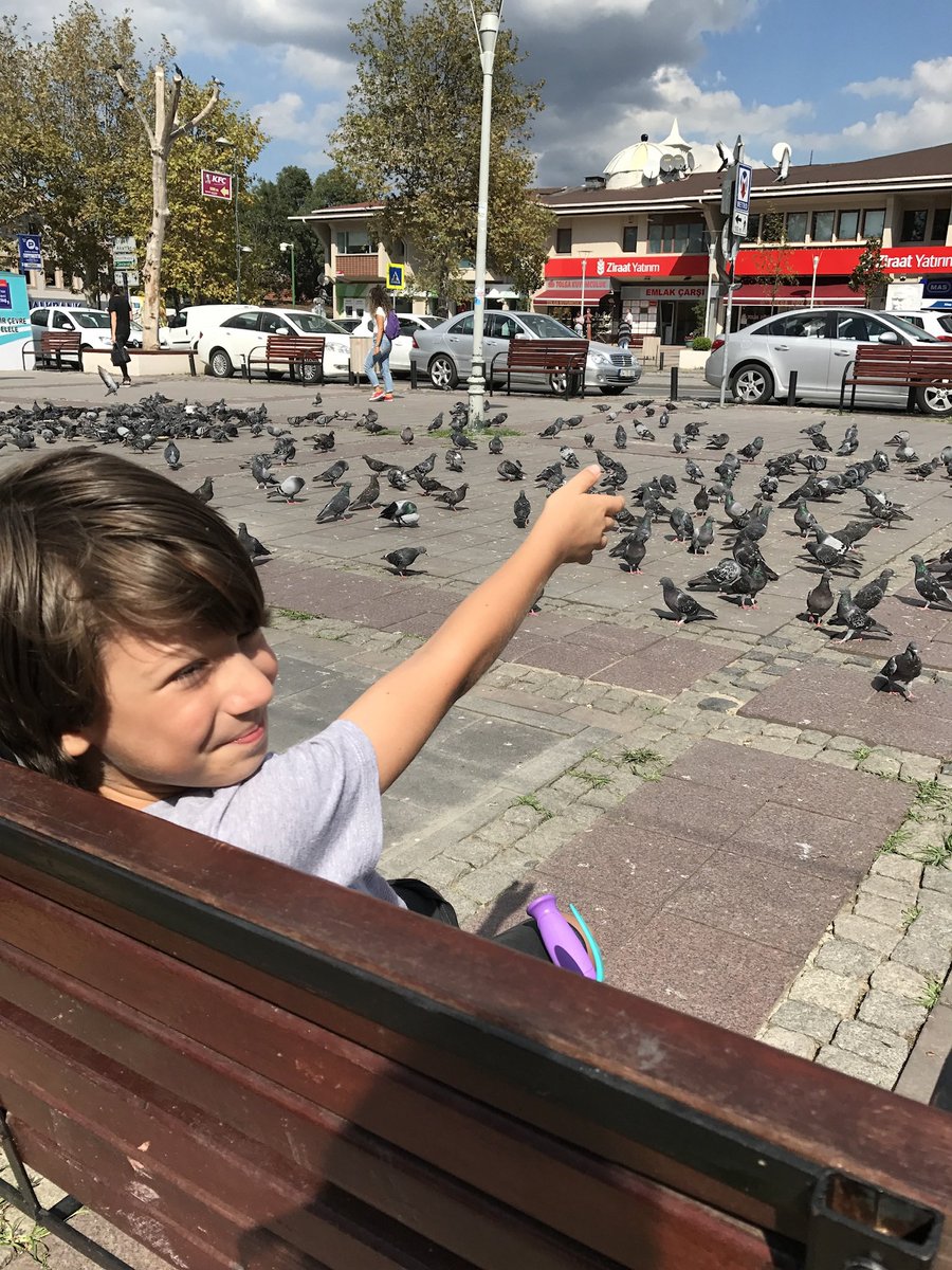 Mısra ÖZ tweet media