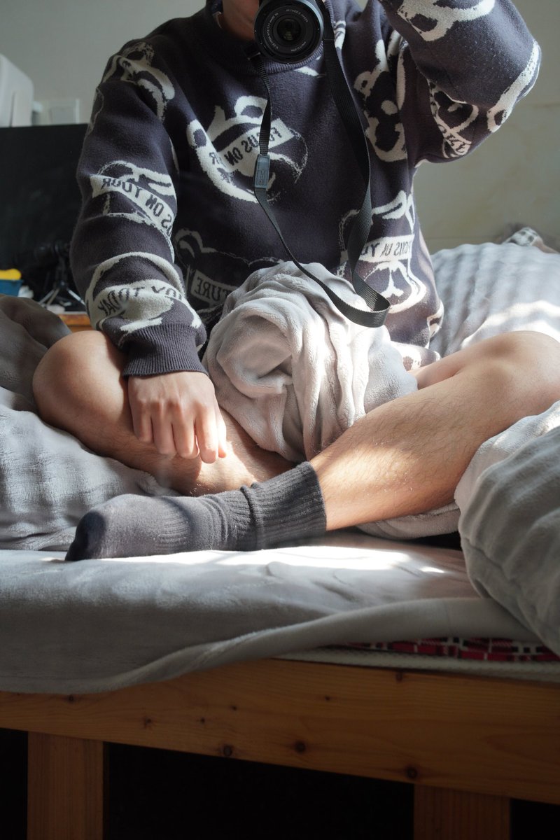 大灰猫 tweet media