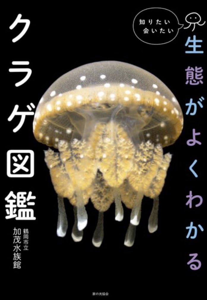 4月に出すクラゲ本のページサンプルです🪼 Amazon・楽天ブックスで予約