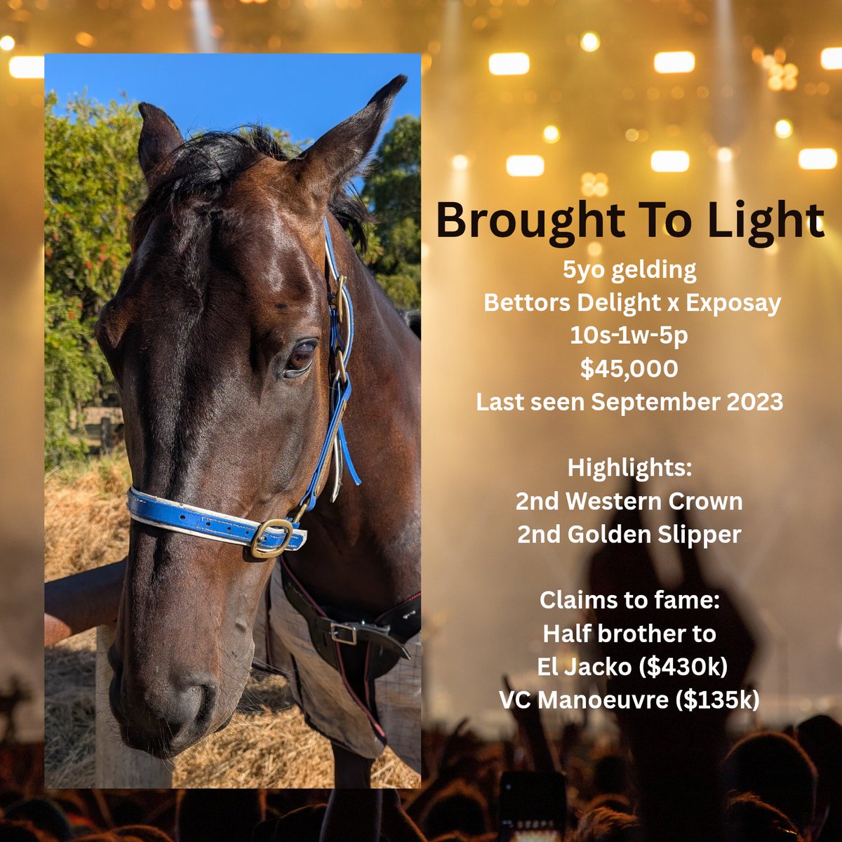 K Howlett Racing tweet media