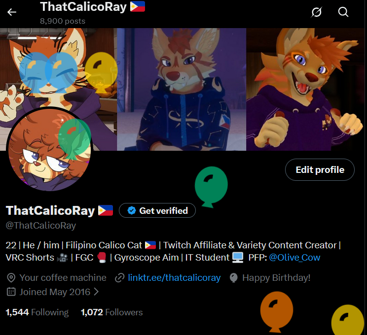 ThatCalicoRay 🔜 BWS, AC tweet media