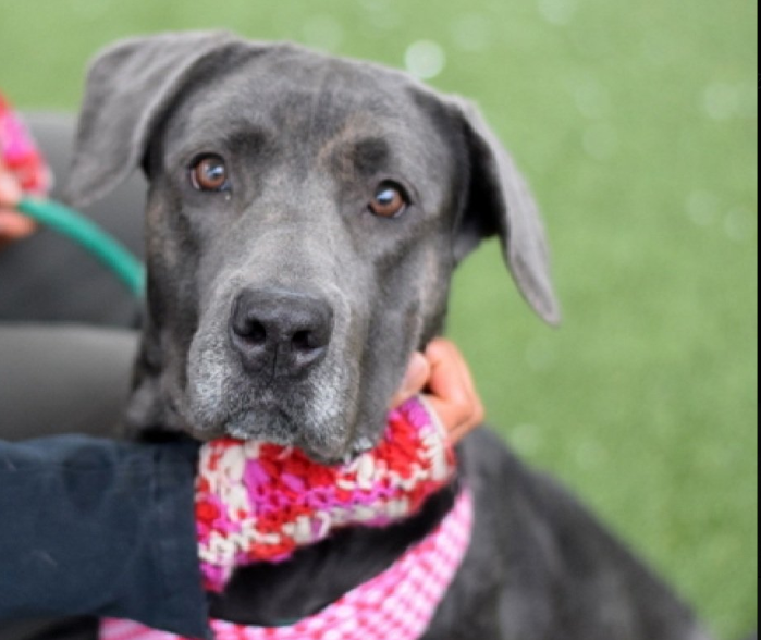 Toms Land tweet media