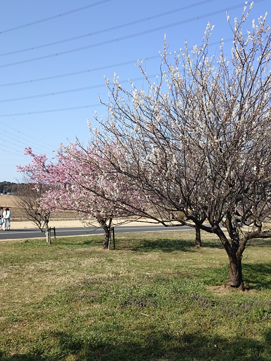 あいだ（Aida　main） tweet media