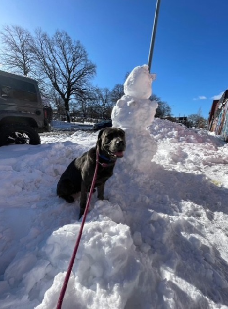 Toms Land tweet media