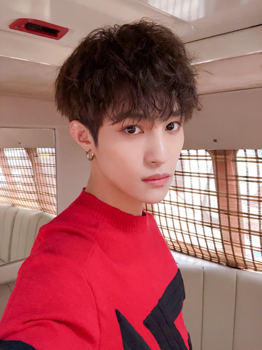 archiveyangyang tweet media