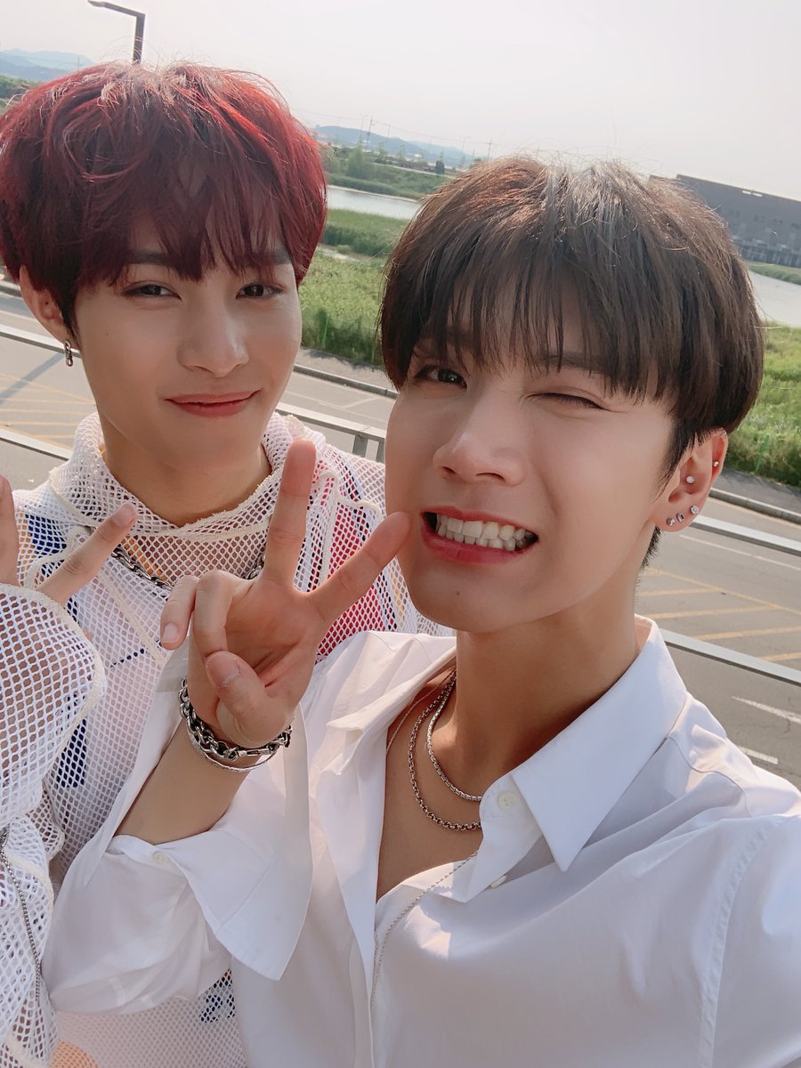 archiveyangyang tweet media