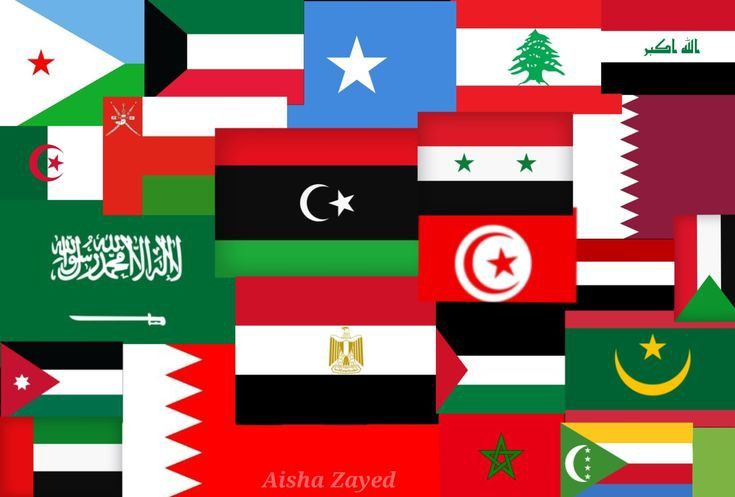 بيتر tweet media