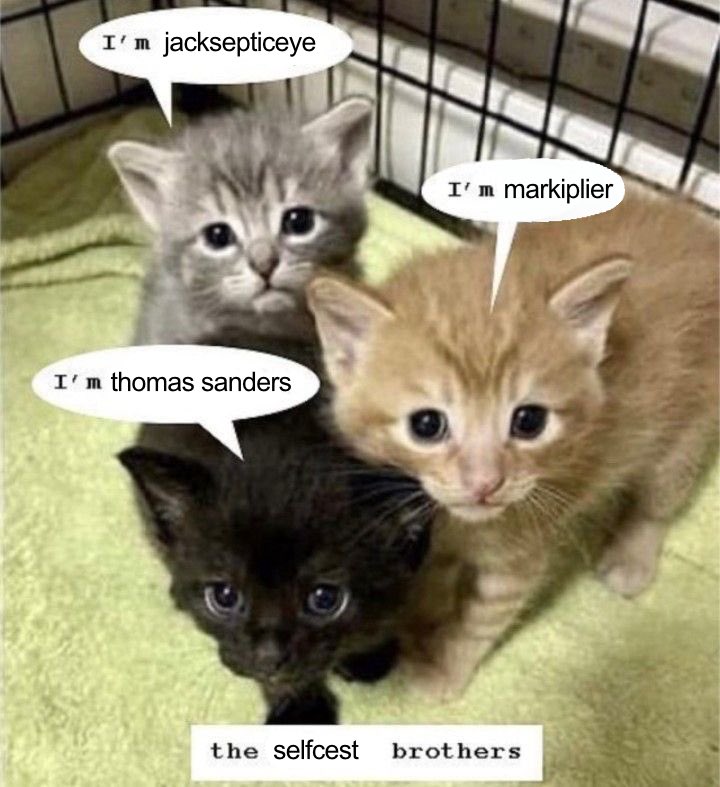 ☆♪ fishh!! 🪲 tweet media