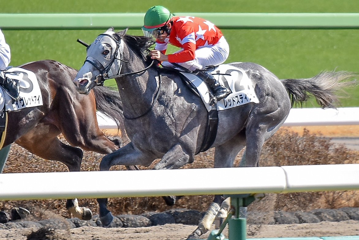 Meg∞🏇📷️🎾🤫 (@M89oumasan) / Posts / X