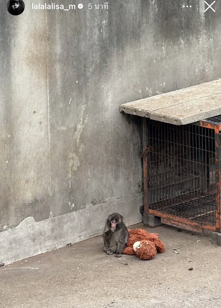 "ลิซ่า"แวะไปหาน้องพั้นคุงด้วยยย น่ารักมากก