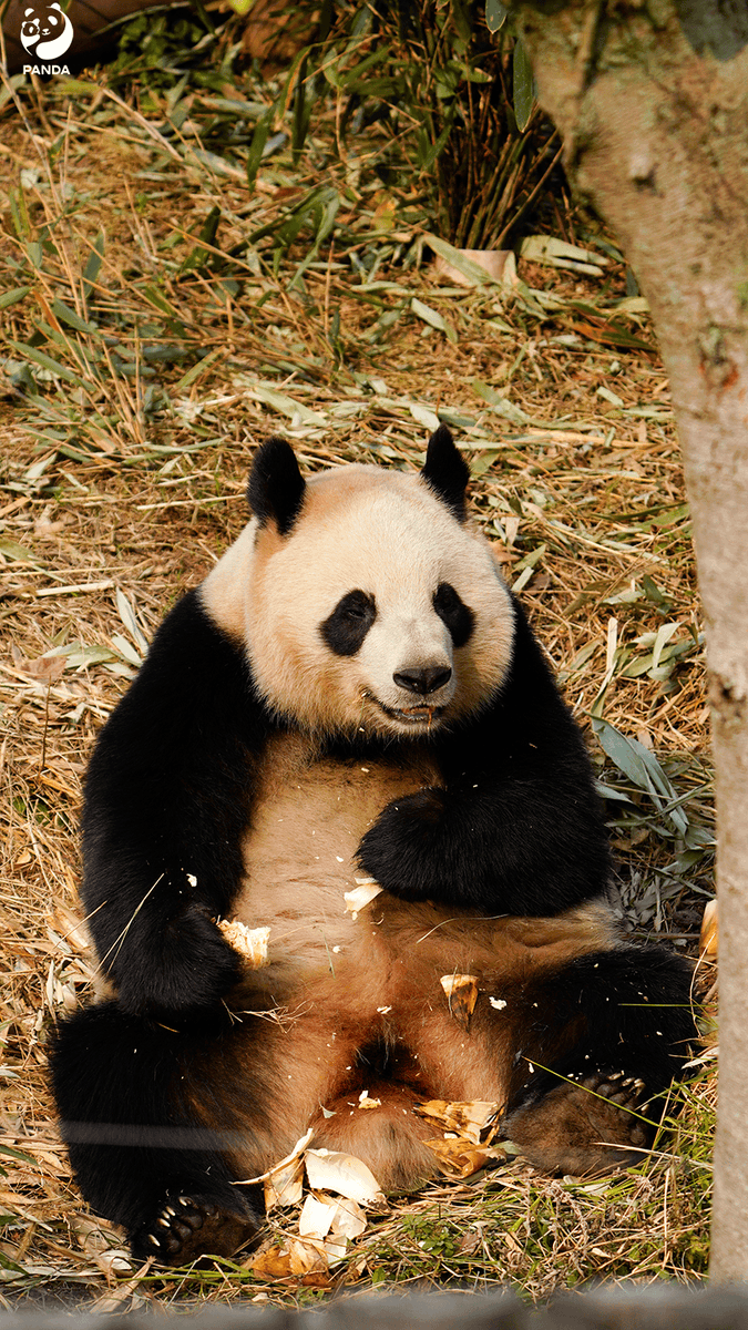 Transaction Advisor tweet media