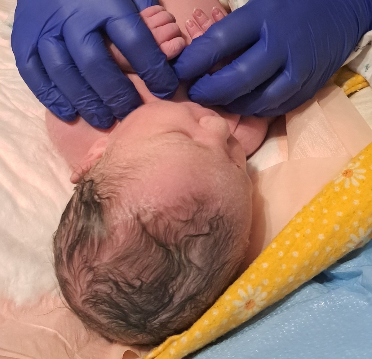 Jessica Barberi tweet media