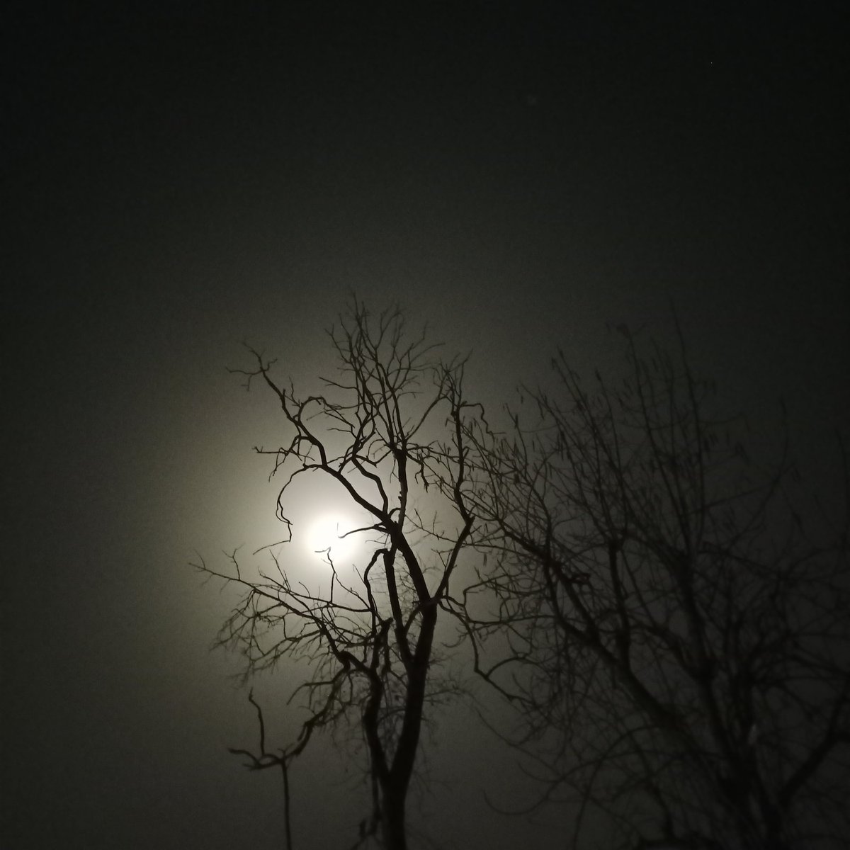 Priyank Singh tweet media