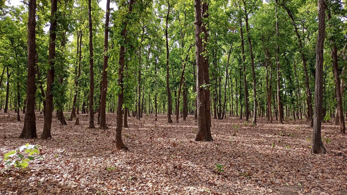 Priyank Singh tweet media