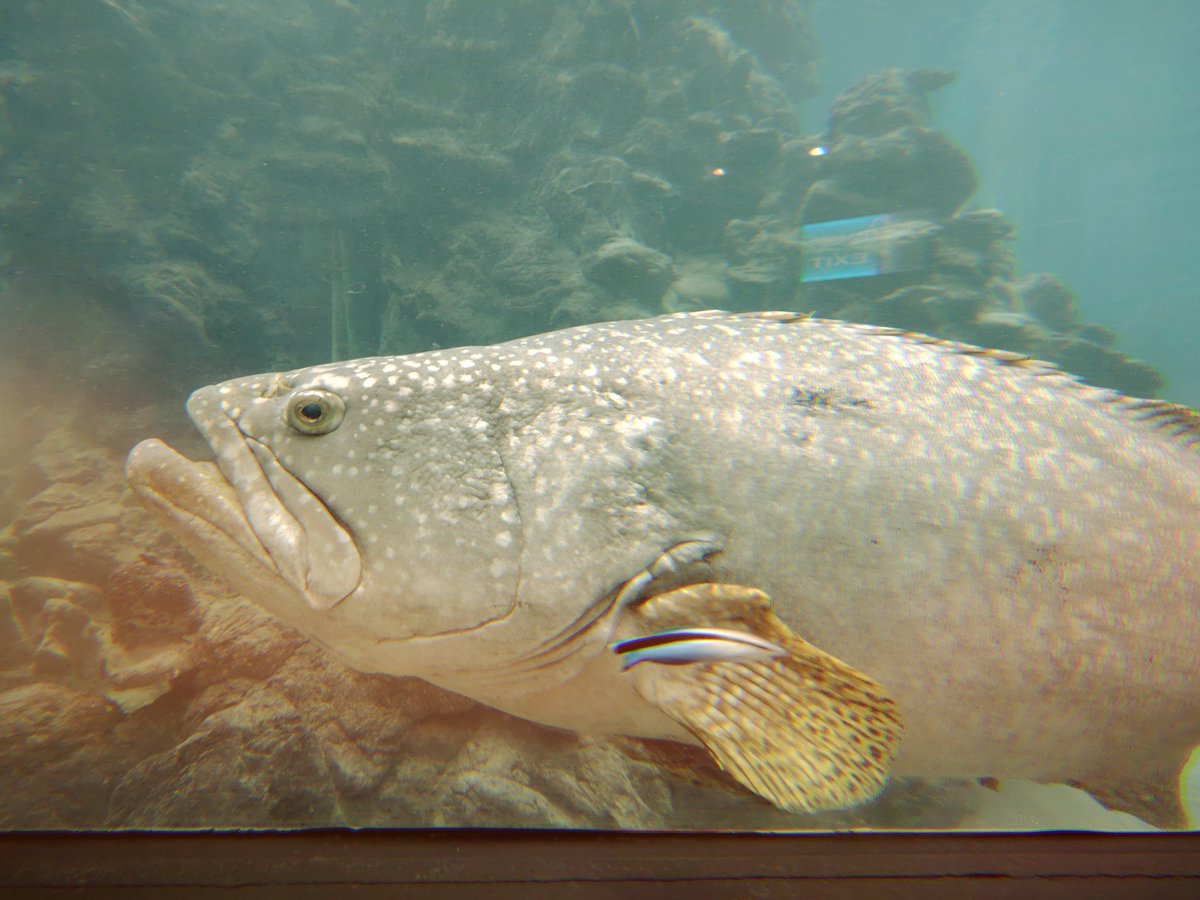 มาเที่ยวจริงจริ๊งง