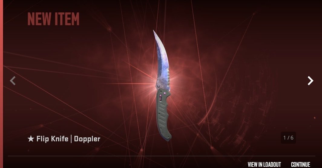 Bulu 🪼 tweet media