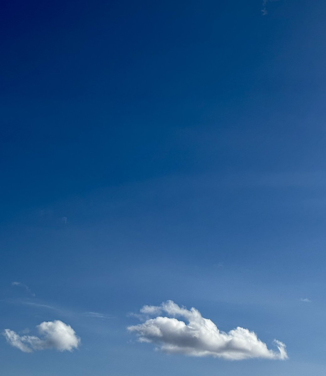 俵万智 tweet media