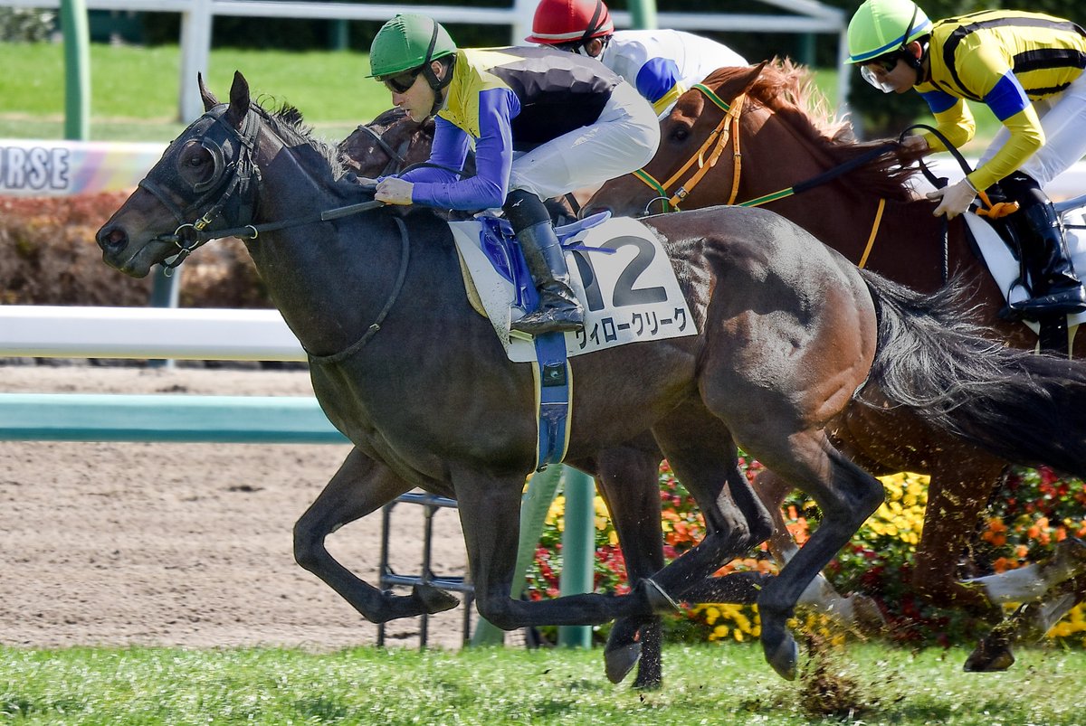 Meg∞🏇📷️🎾🤫 (@M89oumasan) / Posts / X