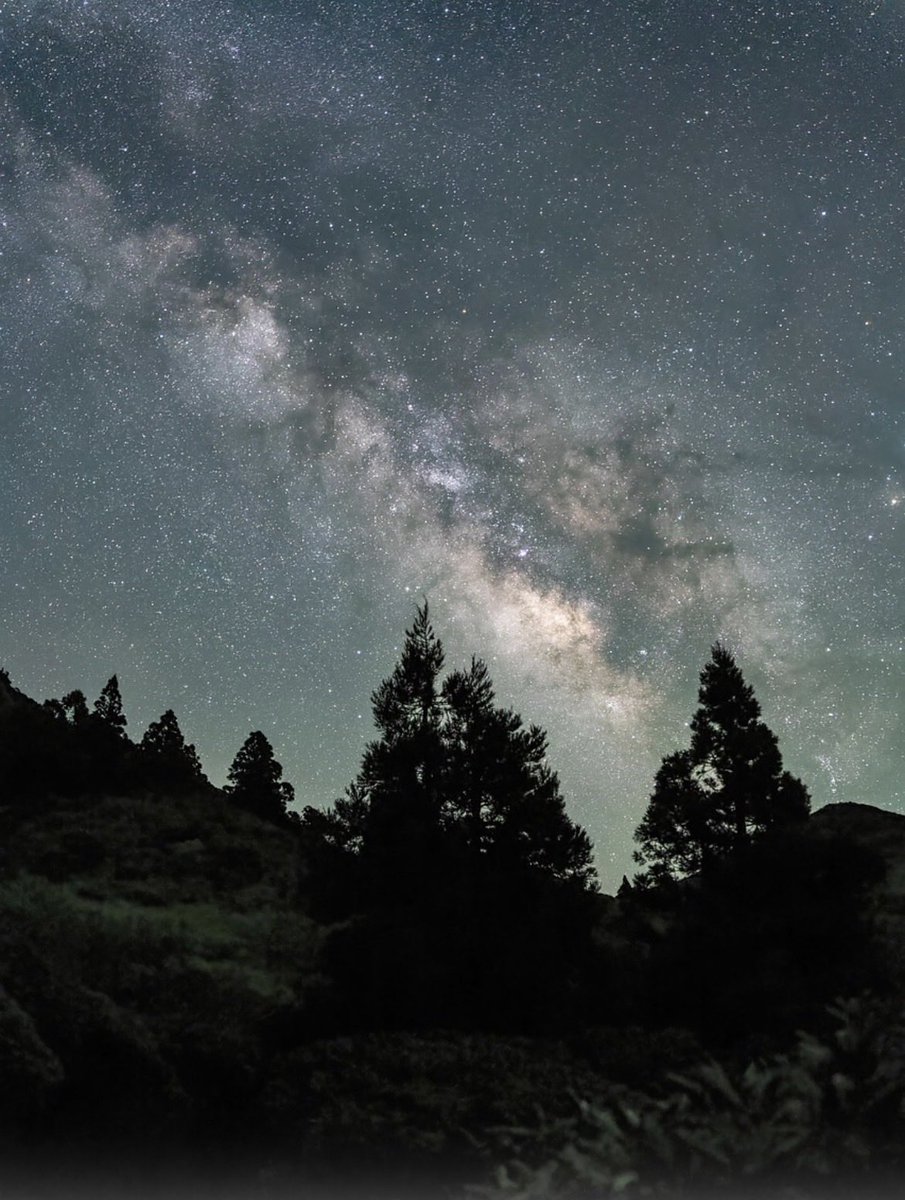 #vss365
When her tears crystallized to slips of bone,
she knew she was crying for no one,
not even herself.
Only life, both rose and charlatan in one fumbled breath.

From her brambled garden
of colorless ache,
she released her heart,
its patchwork of wounds
glinting like