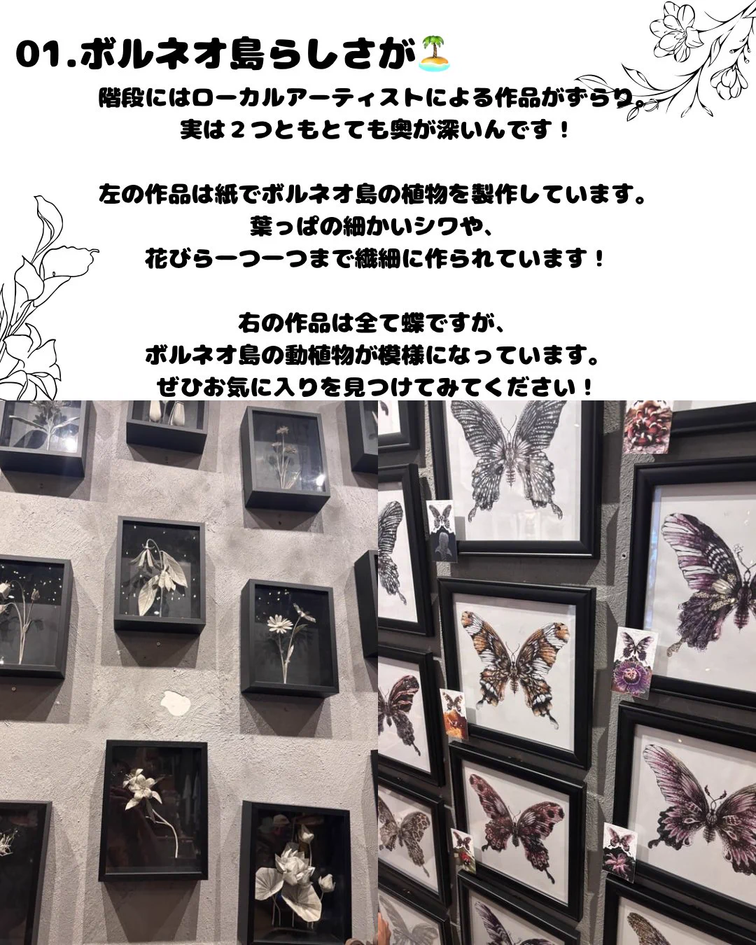 ボルネオ島 サバ州政府観光局【公式】🇲🇾 on X: 