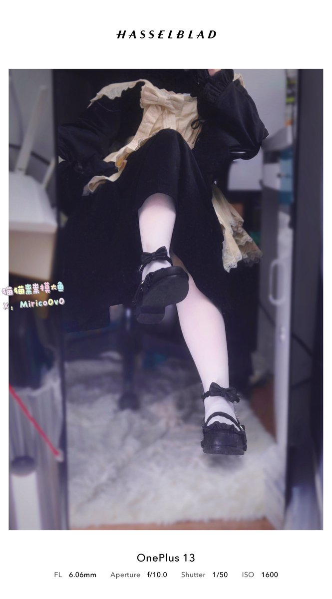 主人，该给我上贡了🩷