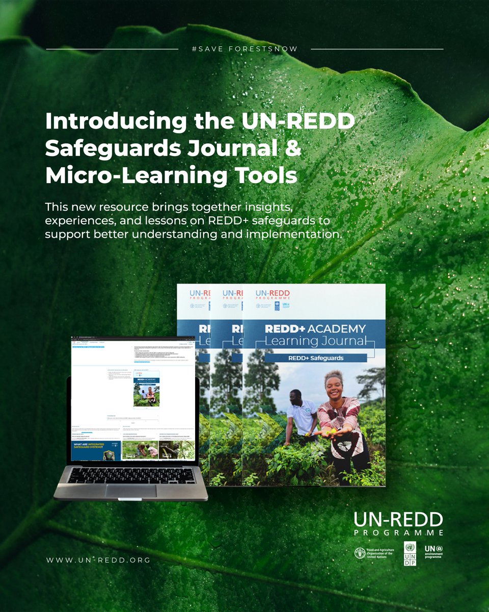 UN-REDD Programme tweet media
