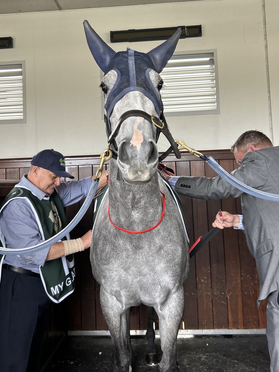 Racing.com tweet media