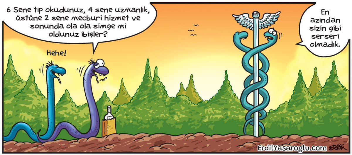 Erdil Yasaroglu tweet media