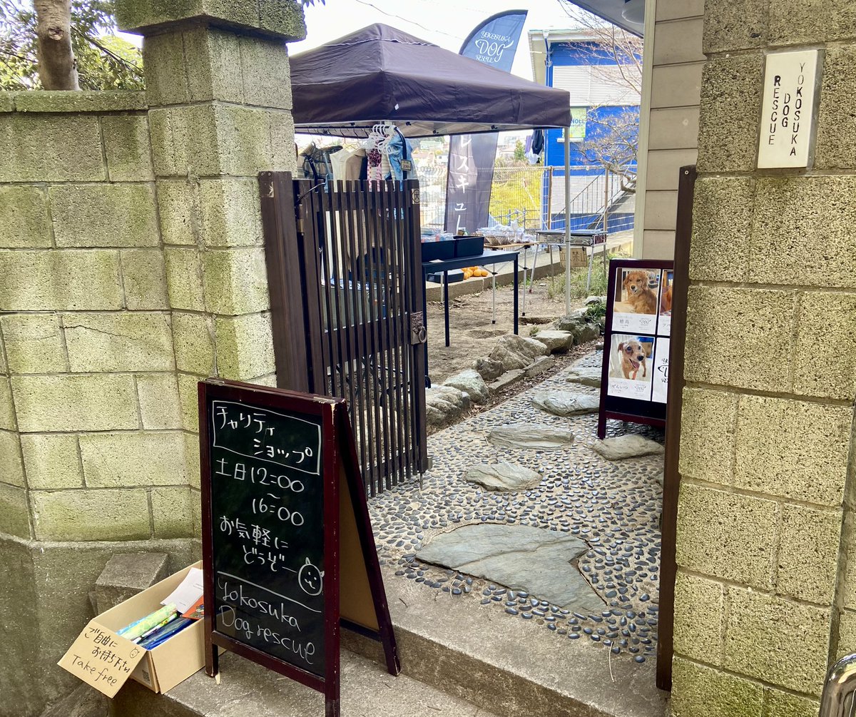 プレゼントのアンチノール届いています！ありがとうございます★
アマゾンのほしいものリストから直送になるとお名前がこちらに来ないことがあります。わー！すみません。そんな時は送ったよ〜とお伝えいただくと幸いです★

穂高かじってる！
今日明日もチャリティショップやっていますのでぜひぜひ〜