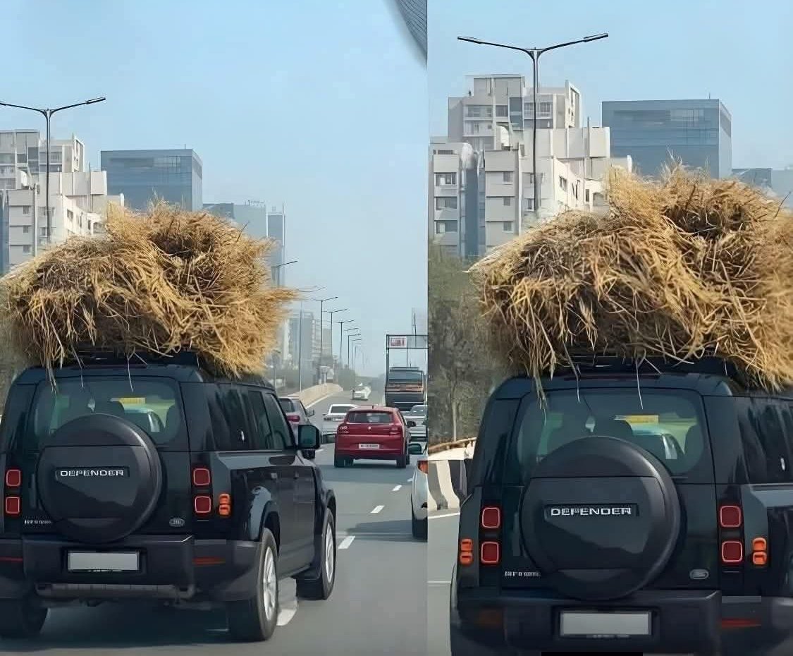 Dr Shalini tweet media