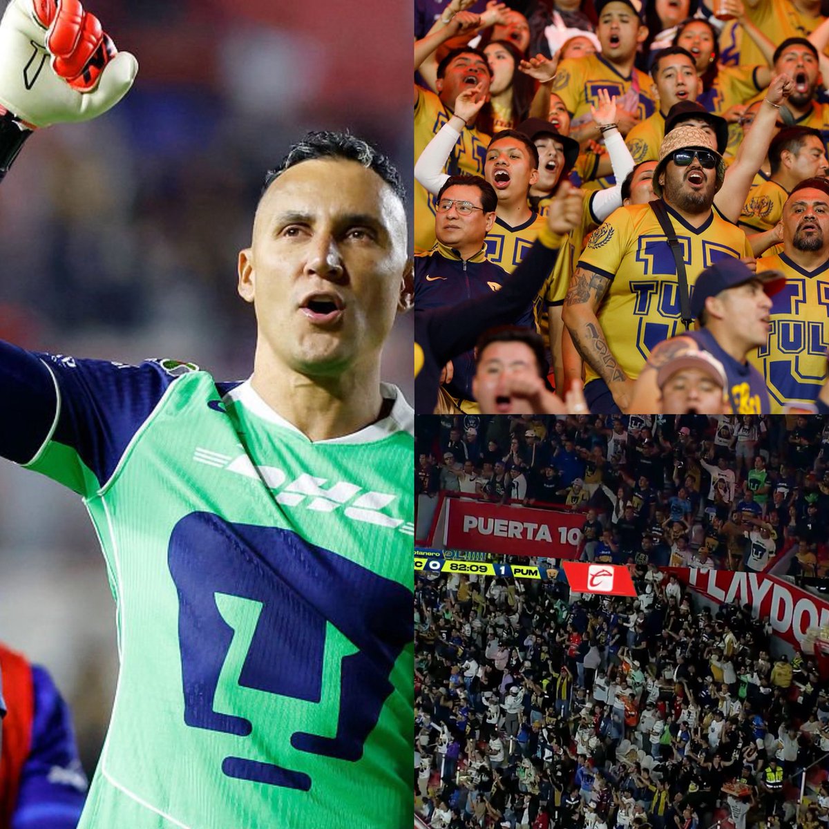 Fan Puma ⍽ tweet media